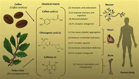 The Health Benefits of Drinking Coffee: A Comprehensive Guide