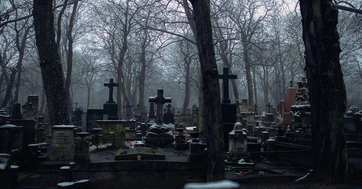 A dark wooded cemetery with clustered headstones